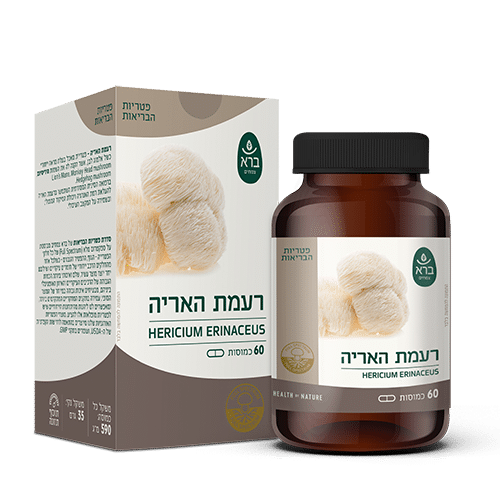 כמוסות פטרית רעמת האריה ברא צמחים | Bara