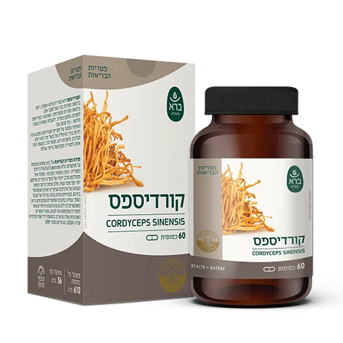 כמוסות פטרית קורדיספס ברא צמחים | Bara Herbs