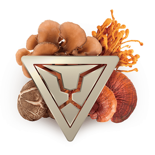 פורמולת פאוור ברא צמחים | Bara