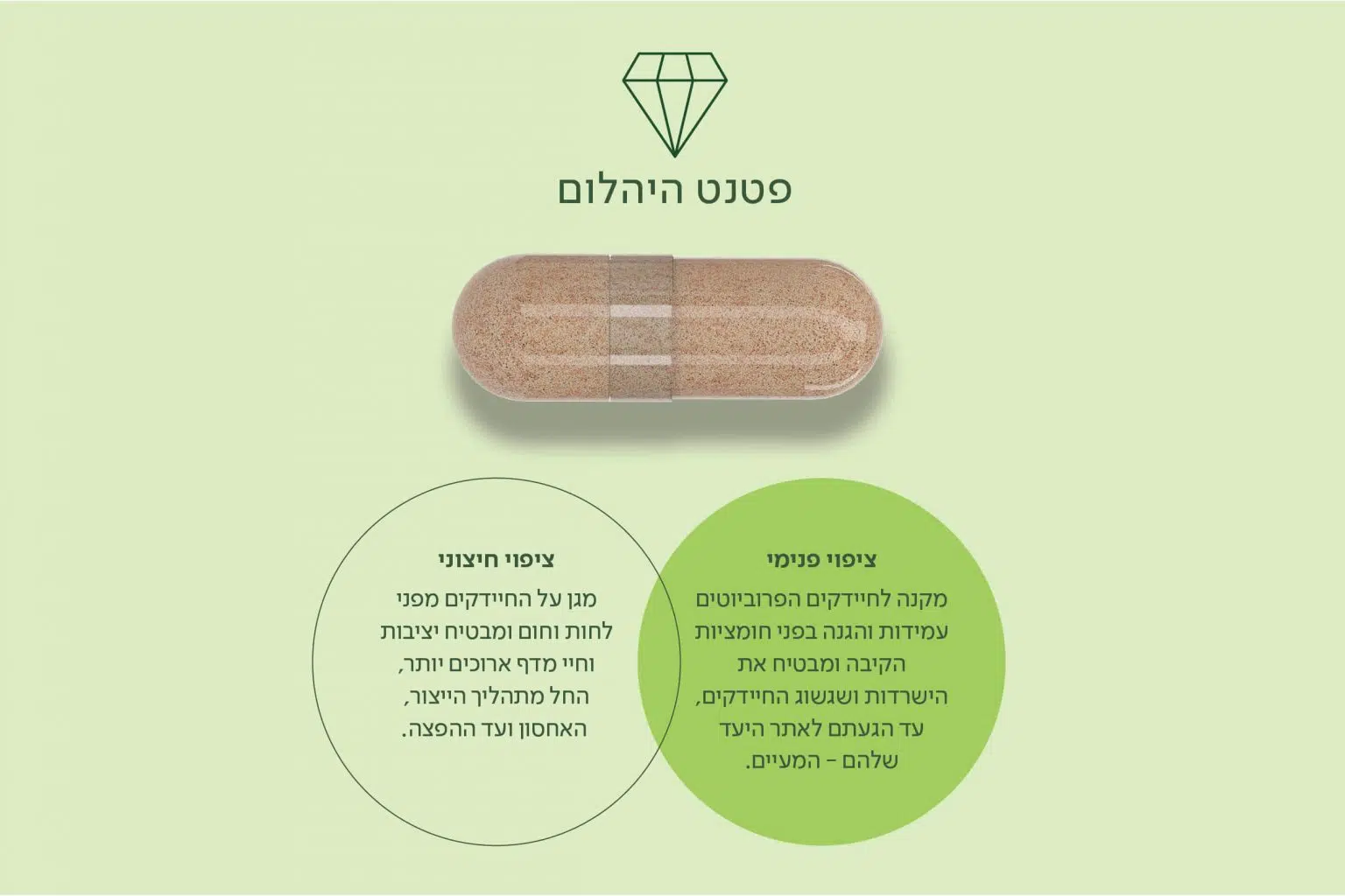 ביו 25 סופהרב |  Supherb